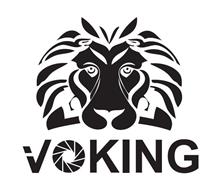 logo_voking.jpg