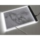 Podświetlana deska kreślarska A4 LED ultra cienka